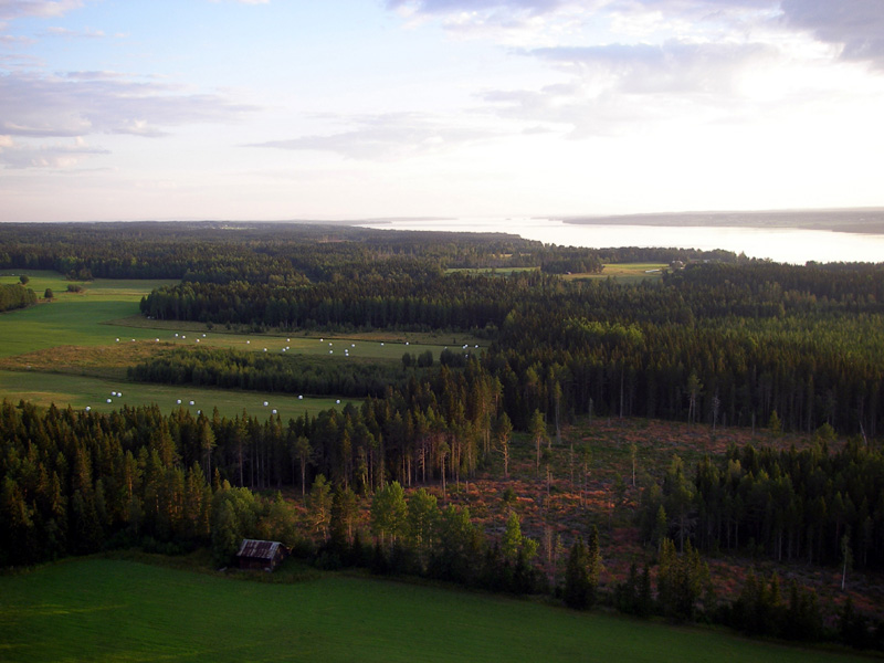 20060805_006
