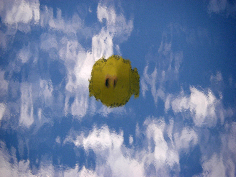 20060805_023